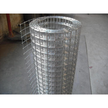 Welded Wire Mesh Panel or Roll